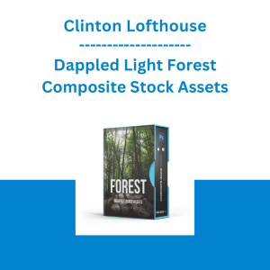 Clinton Lofthouse - Dappled Light Forest Composite Stock Assets