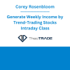 Corey Rosenbloom - Generate Weekly Income by Trend-Trading Stocks Intraday Class