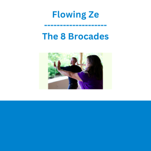 Flowing Zen - The 8 Brocades