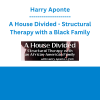 Harry Aponte - A House Divided - Structural Therapy with a Black Family