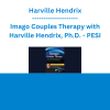 Harville Hendrix - Imago Couples Therapy with Harville Hendrix, Ph.D.: Proven Strategies for Helping Couples Connect, Heal and Grow - PESI
