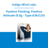 Indigo Mind Labs - Positive Thinking, Positive Attitude (5.5g - Type A/B/C/D)