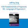 Jeffrey Zeig - IC11 Fundamentals of Hypnosis 05 - Language of Hypnosis II: Working with Complex Resistance