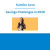 Kumiko Love - Savings Challenges in 2020
