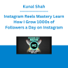 Kunal Shah - Instagram Reels Mastery Learn How I Grow 1000s of Followers a Day on Instagram