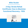 Mike Studer - 2-Day: Stroke Rehab Certificate: How to Maximize Functional Recovery - PESI