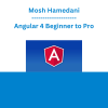 Mosh Hamedani - Angular 4 Beginner to Pro