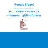 Ronald Siegel - BT12 Super Course 03 - Harnessing Mindfulness: Tailoring the Practice to the Problem