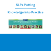 SLPs Putting Knowledge into Practice: Maximize Patient Outcomes Through Comprehensive Strategies, Innovative Tools, and Fresh New Insight