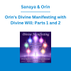 Sanaya & Orin - Orin's Divine Manifesting with Divine Will: Parts 1 and 2