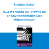 Sheldon Cohen - IC11 Workshop 09 - How to Be an Environmentalist Like Milton Erickson