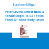Stephen Gilligan, Peter Levine, Ernest Rossi & Ronald Siegel - BT12 Topical Panel 12 - Mind-Body Issues