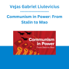 Vejas Gabriel Liulevicius - Communism in Power: From Stalin to Mao
