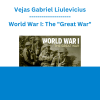 Vejas Gabriel Liulevicius - World War I: The "Great War"
