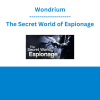 Wondrium - The Secret World of Espionage