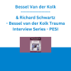 Bessel Van der Kolk & Richard Schwartz - Bessel van der Kolk Trauma Interview Series: Richard Schwartz, Ph.D., Developer and Founder of Internal Family Systems (IFS) - PESI