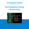 Christopher Wallis - The Recognition Sutras Illuminating