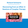 Richard Schwartz - Recovering from an Affair: 6 Sessions of Couples Therapy
